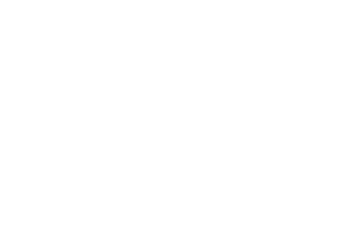 VivArq Logo